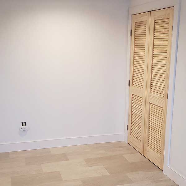 Mount Philo Basement